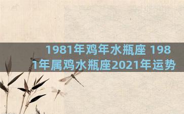 1981年鸡年水瓶座 1981年属鸡水瓶座2021年运势